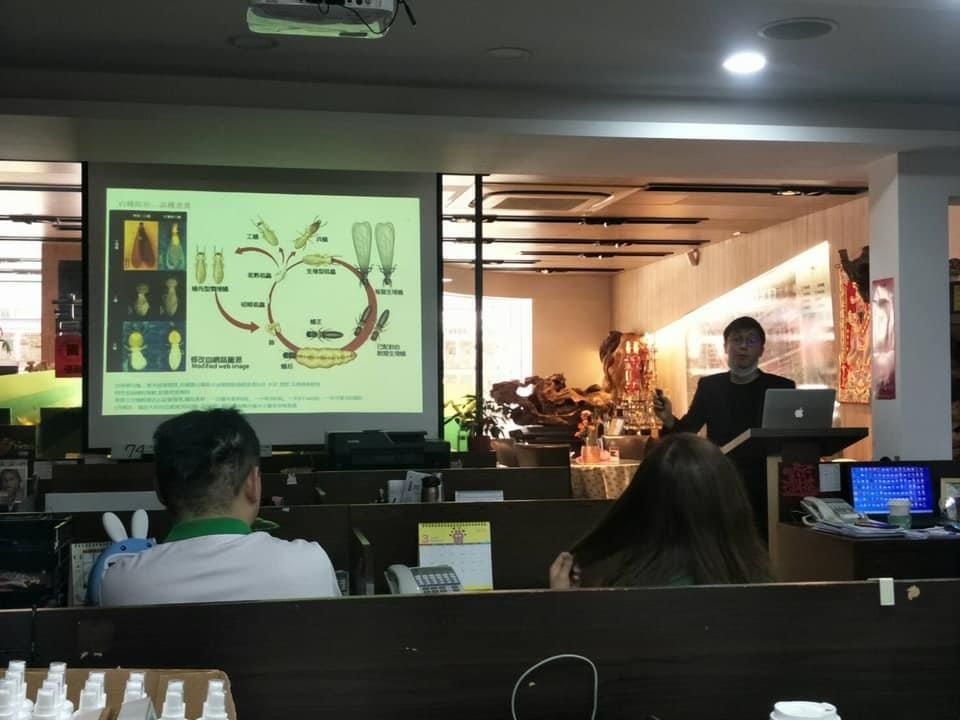 賽博斯白蟻防治裝潢前木地板防護處理,台北市新北市裝潢前白蟻預防施工